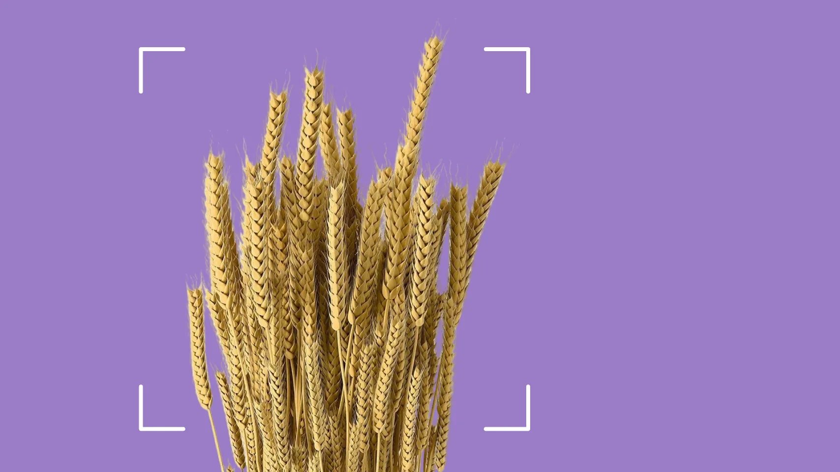 AgroTech в Україні: розвиток, інновації та стратегія до 2030